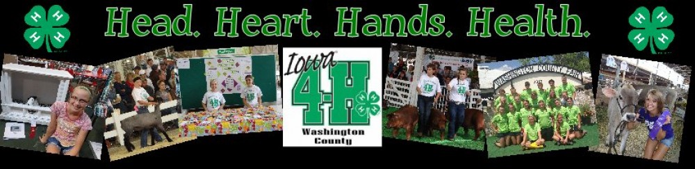 So you're new to Washington County 4-H?